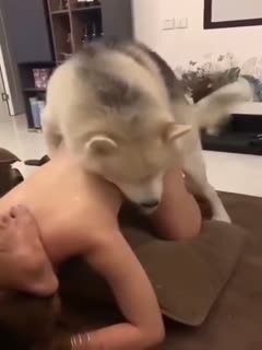 舔舔着就上了